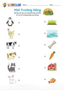 Các dạng bài tập toán tư duy phù hợp cho trẻ 5 tuổi