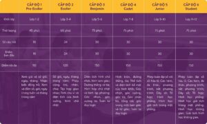 Thể lệ Cuộc thi Toán Kangaroo