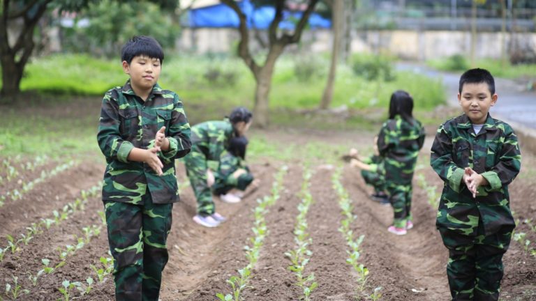 Trại hè Quân đội 